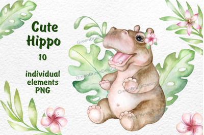 Watercolor hippo animals clipart