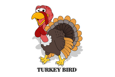 cute turkey bird animal cartoon