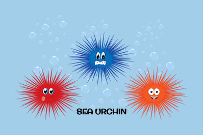 cute sea urchin animal cartoon