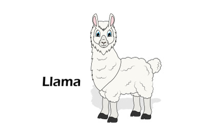 cute Llama animal cartoon