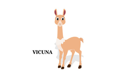 cute vicuna animal cartoon