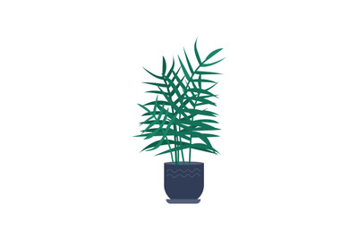 Decorative palm tree cartoon vector illustration