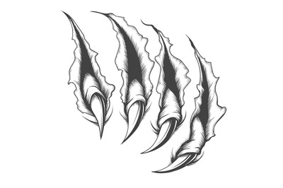 Claw Scratch Engraving Tattoo Illustration