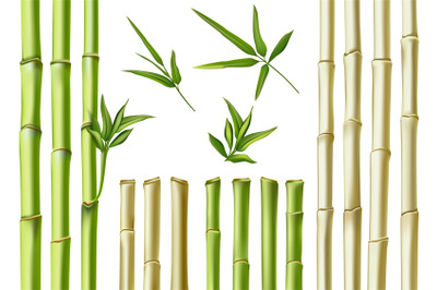 Realistic bamboo sticks. 3d green and brown branches, stem and leaves.