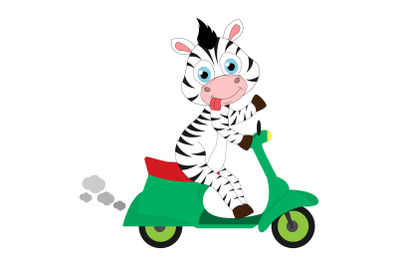 cute zebra cartoon ride motorcycle