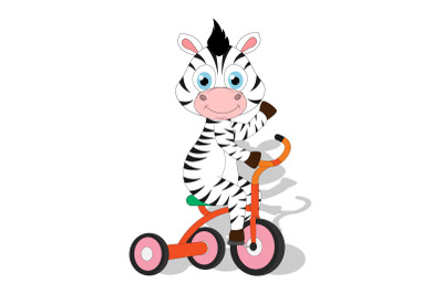 cute zebra cartoon with bicycle