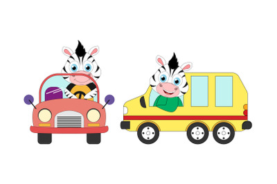 cute zebra cartoon ride a car