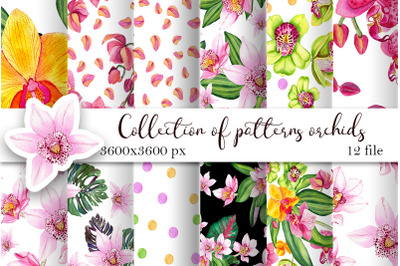 Orchid Watercolor Digital Paper