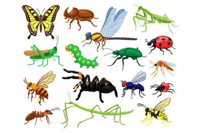 Cartoon insects. Butterfly&2C; beetle&2C; spider&2C; ladybug and caterpillar&2C; w