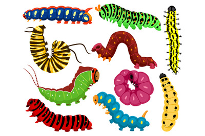 Cartoon caterpillars. Cute summer insects&2C; spring colorful caterpillar