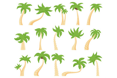 Tropical palms. Green floral palm tree, exotic coconut palm. Exotic ha