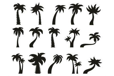 Palm trees silhouettes. Tropical botany palm tree&2C; hawaiian coconut pa