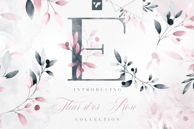 Fleur d Or Rose Graphic Collection