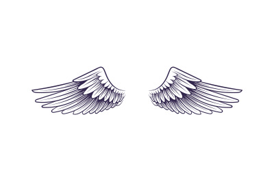 Sketch angel wings. Flying hand drawn wing&2C; feathers decoration of hea