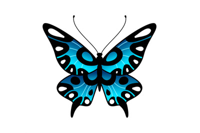 Butterfly. Colorful stylized summer flying insect&2C; bright desigd in bl