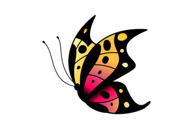 Colorful stylized butterfly. Flying bright insect silhouette in black&2C;