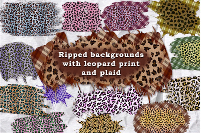 Ripped backgrounds with leopard print and plaid