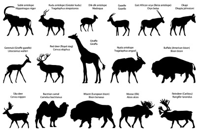 Silhouettes of even-toed ungulates animals