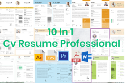 10 in 1 cv resume professional corporate and business