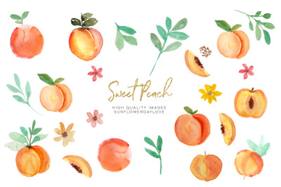 Peach fruit clipart&2C; Watercolor Peach Clipart&2C; Peach leaves