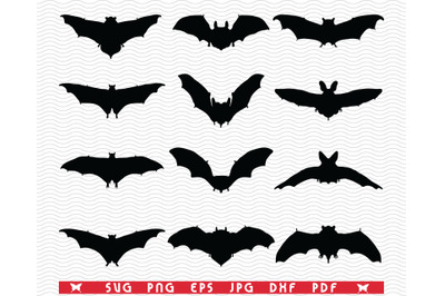 SVG Bats, Black silhouette, Digital clipart