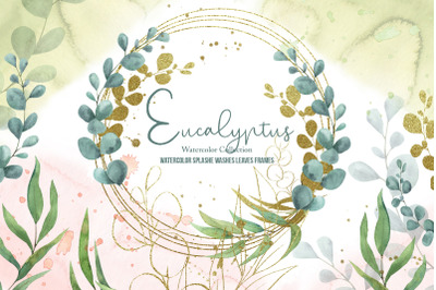 Eucalyptus Watercolor Collection