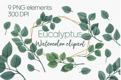 Cute watercolor eucalyptus clipart PNG