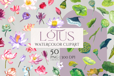 Lotus Flower -  Water Lily Clipart - 50 Watercolor Lotus Elements
