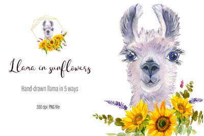 Watercolor Llama Clipart - Sublimation designs