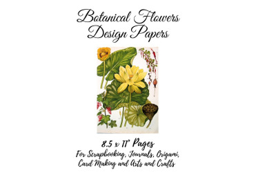 Vintage Botanical Full Page Floral Sheets 8.5 x 11, PDF