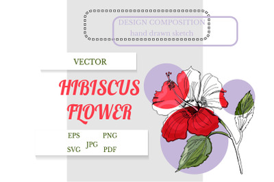 Hand drawn hibiscus flower with leaves. Floral SVG.