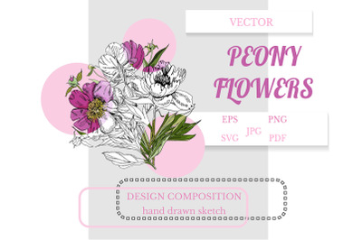 Hand drawn bouquet of peony flowers. Pink floral clipart