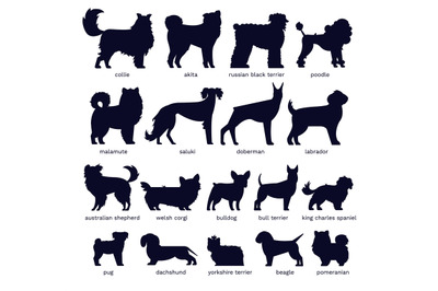 Dog silhouettes. Various breed. Doberman&2C; malamute and labrador&2C; poodl