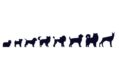 Dogs breed silhouettes. Pedigree puppies as doberman and malamut