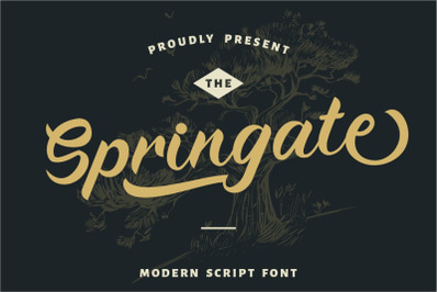 Springate - Modern Script Font