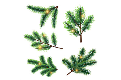 Fir tree branches with lights vector isolated on white background