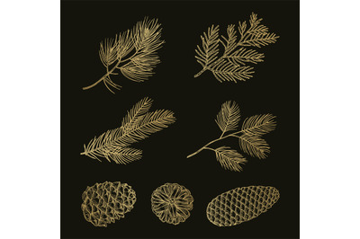 Gold fir branches and cones doodle vector set