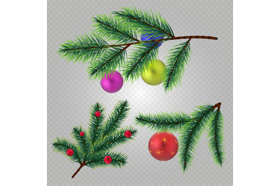 Vector realistic christmas fir tree branches with balls and berries is