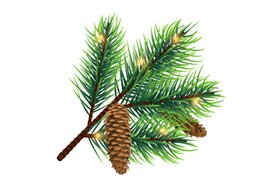 Vector realistic fir tree branch with cone and lights isolated on whit