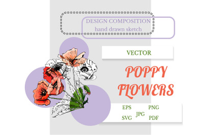 Hand drawn sketch of poppy flowers with leaves. Bouquet of poppy