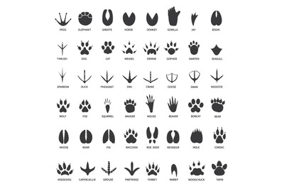 Animals footprints. Animal paws prints. Elephant and gorilla, bison an