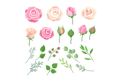 Rose elements. Pink and white roses flowers with green leaves and buds