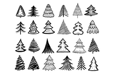 Sketch fir tree. Christmas trees scribble pen drawn holiday decoration