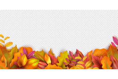 Autumn banner. Fall leaves background. Realistic vector autumn leaves