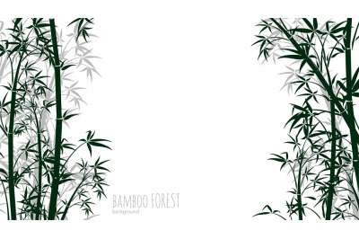 Bamboo forest background. Asian plants silhouettes backdrop. Chinese&2C;