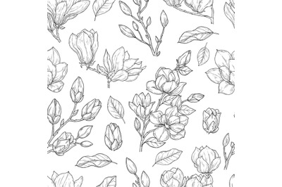 Magnolia pattern. Sketch flower ornate seamless texture. Vintage flora