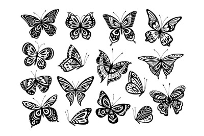 Black butterflies. Drawing butterfly silhouette&2C; nature elements. Gorg