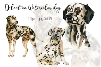 Dalmatian Watercolor dog clipart.