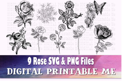 Rose Illustration svg, silhouette bundle, 9, outline, flower drawing,