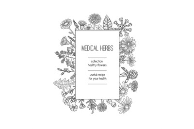 Herbs frame. Herbal background design for spa medical concept nature h